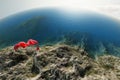 Woman with a red tissue on the beach Royalty Free Stock Photo