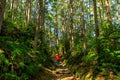 Woman in red trekking in forest