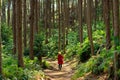 Woman in red trekking in forest