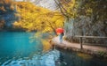 Woman with red umbrella on path under yellow trees near lake Royalty Free Stock Photo