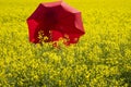 Woman with red umbrella standing an a yellow rapeseed field