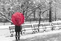 Woman with red umbrella walking through a snowy black and white scene in New York City Royalty Free Stock Photo