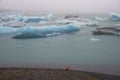 Woman in red warm shirt looking at icebergs under raining at diamond beach, Jokulsarlon in South Iceland.