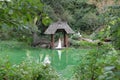 Woman reflected in green water, Central Park NYC