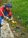 The woman regulates its flower gardens