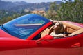 Woman, relax and happy in sports car for road trip in summer or adventure on vacation in Beverly Hills. Luxury vehicle Royalty Free Stock Photo