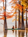Woman relax on stand up paddle board at quiet lake with Taxodium trees and sun light Royalty Free Stock Photo