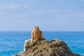 Woman relaxing on the beach in Greece Royalty Free Stock Photo