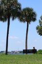 Woman Relaxing Watching the Sailboats