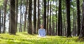 Woman relaxingly practicing meditation in the pine forest to attain happiness from inner peace wisdom with beam of sun light for