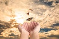 Woman releasing butterflies against sky outdoors, closeup. Freedom concept