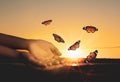 Woman releasing butterflies against sunrise near river. Freedom concept