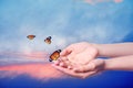 Woman releasing butterflies on background, closeup. Freedom concept