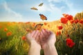 Woman releasing butterflies in field on sunny day. Freedom concept Royalty Free Stock Photo