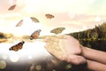 Woman releasing butterflies near lake. Freedom concept