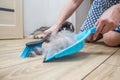 A woman removes dog hair after molting a dog with a dustpan and broom at home. Cleaning dog hair at home. Pet care Royalty Free Stock Photo