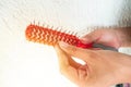 Woman removes hair from a styling brush