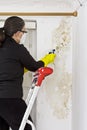 woman removing mold mildew wall