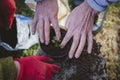 Woman replanting small seedling of Pilea Peperomioides