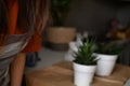 A woman repotting houseplants in pots, indulging in gardening and nurturing indoor greenery. This image captures the beauty of