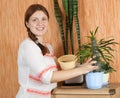 Woman repotting Pachypodium cactus