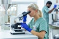 Woman researcher performing chemistry tests in scientific laboratory using microscope Royalty Free Stock Photo