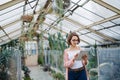 Woman researcher standing in greenhouse, using tablet. Royalty Free Stock Photo