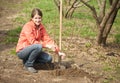 Woman resetting tree sprouts Royalty Free Stock Photo