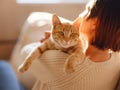 woman resting with cat on sofa at home Royalty Free Stock Photo