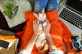 Woman resting with cute little kitten at home Royalty Free Stock Photo