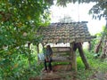 a woman resting in a hut on the edge of a rice field