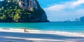 Woman resting on Railay beach Krabi Thailand. Asia Royalty Free Stock Photo