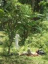 Woman Resting In Tropical Forest Royalty Free Stock Photo