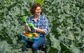 woman resting after work in the field and puts protective gloves on his hands Royalty Free Stock Photo