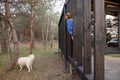 Woman rests near wooden cottage in nature Royalty Free Stock Photo