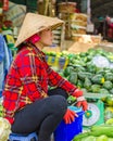 Woman with the rice hat selling watermelons at the market of Cai Be Royalty Free Stock Photo