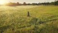 Woman ride bike at sun field aerial. Summer nature landscape. Girl drive bicycle at rural meadow Royalty Free Stock Photo