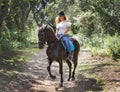 Woman rider and horse