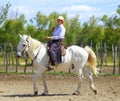 Woman rider mounted on white horse