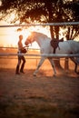 Woman rider  trains a horse on a farm at sunset Royalty Free Stock Photo