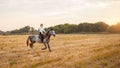 woman rides a field on horseback at sunset. Sports training, equestrian, walking, rental and sale of horses, ranch