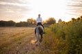 woman rides a field on horseback at sunset. Sports training, equestrian, walking, rental and sale of horses, ranch Royalty Free Stock Photo