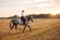 woman rides a field on horseback at sunset. Sports training, equestrian, walking, rental and sale of horses, ranch Royalty Free Stock Photo