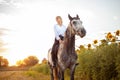 woman rides a gray horse in a field at sunset. Freedom, beautiful background, friendship and love for the animal. Sports Royalty Free Stock Photo