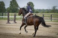 Woman riding bay gallops away Royalty Free Stock Photo