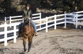 Woman Riding a Bay Horse Royalty Free Stock Photo