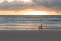 Woman riding a beach crusier on the beach at sunrise Royalty Free Stock Photo