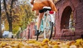 Woman riding on bicycle in autumn park. Royalty Free Stock Photo