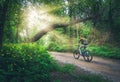 Woman riding a bicycle in forest in spring at sunset Royalty Free Stock Photo