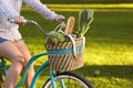 Woman riding a bicycle with vegetarian products in basket Royalty Free Stock Photo